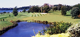 Omokoroa golf course